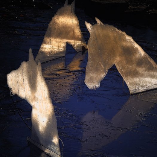 dsc_0925.jpg