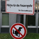 dsc_1017.jpg